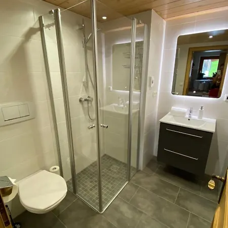 Apartament Auenfeld By Interhome Schröcken